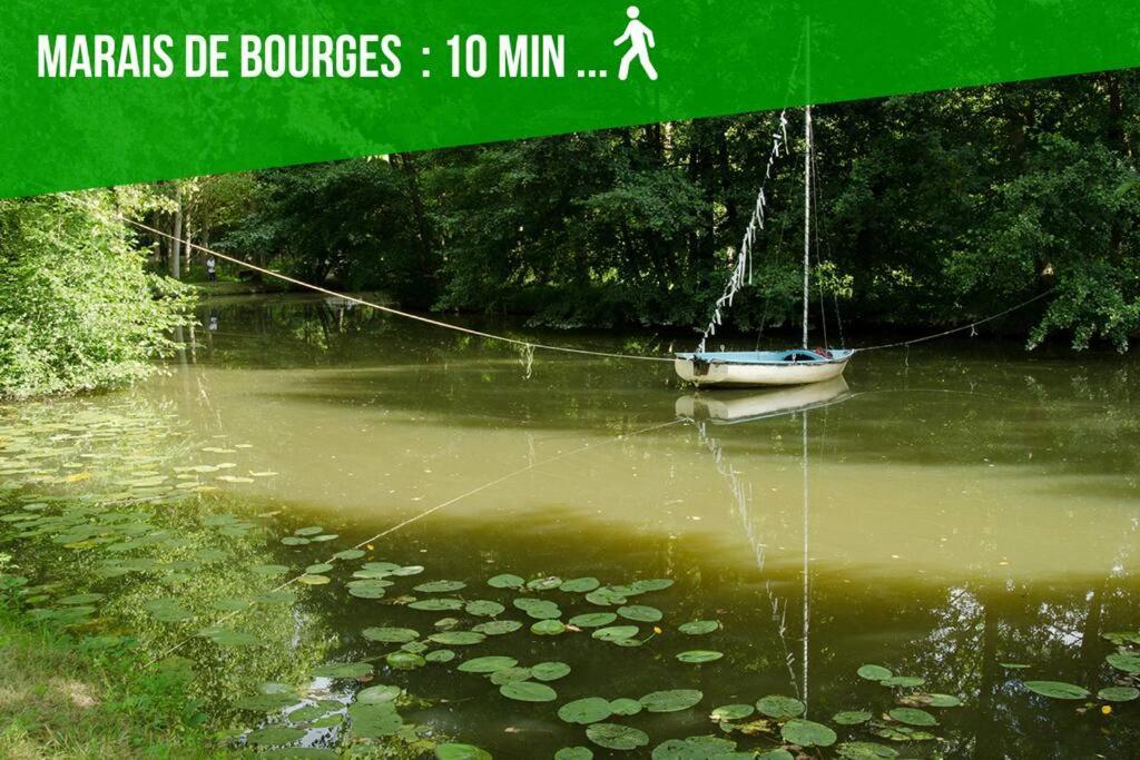 Appartement Les Quatre Piliers - 1 Min Palais Jacques Coeur à Bourges Extérieur photo